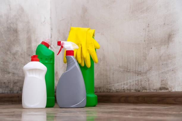 Best Black Mold Removal  in Sahuarita, AZ